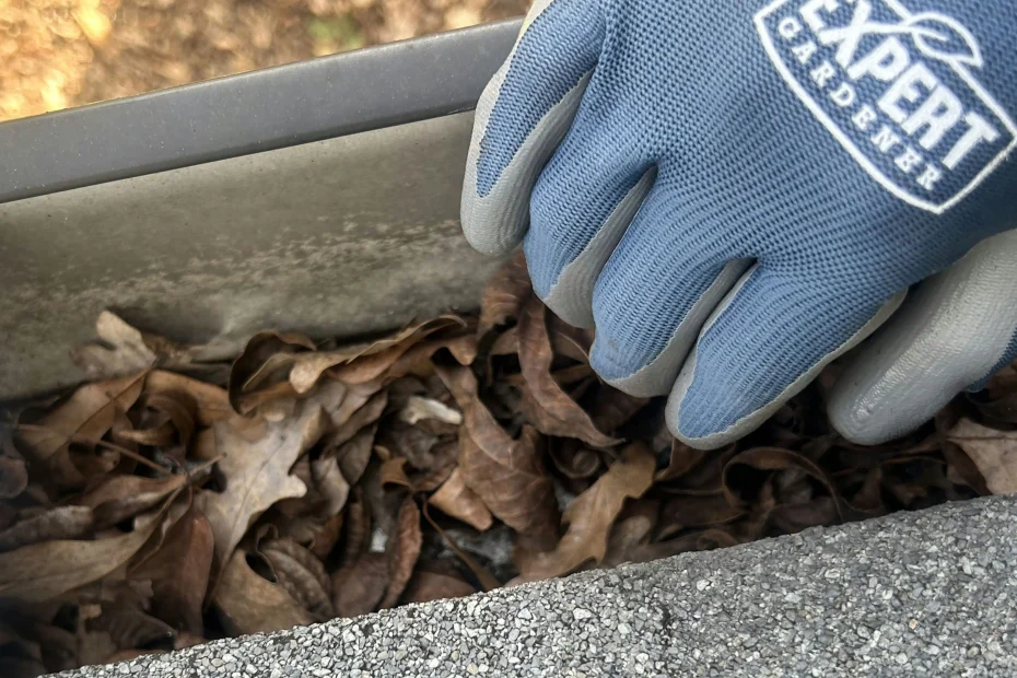 Gutter Cleaning Bristol VA