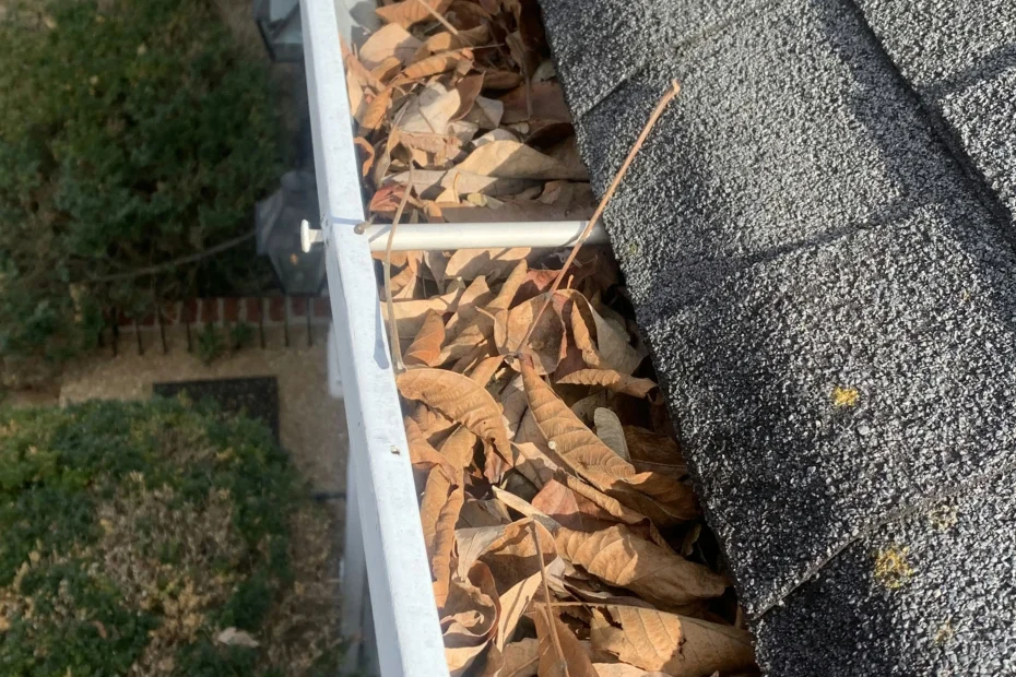 Gutter Cleaning Bristol VA